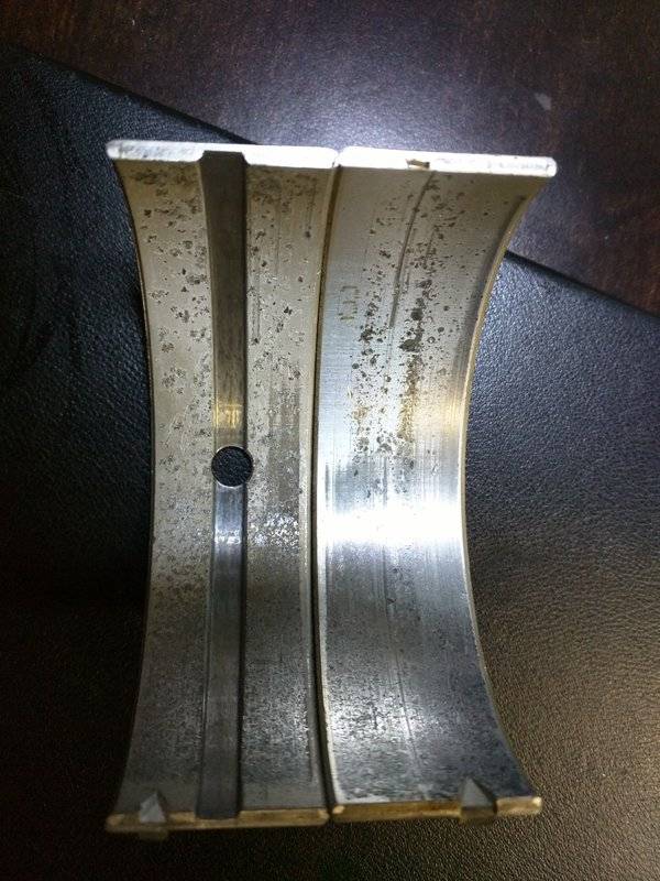 OldBearings.jpg