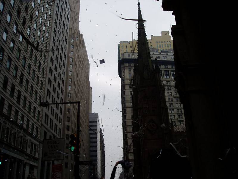 P1010006-1.jpg