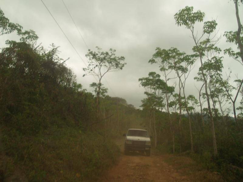 P1019196.jpg