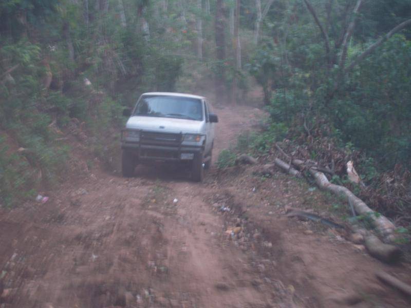 P1019198.jpg