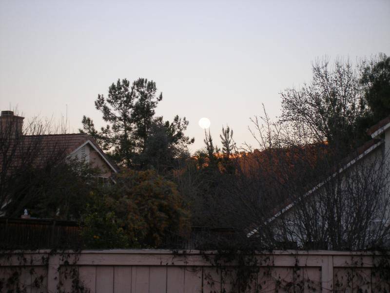 P2242475.jpg