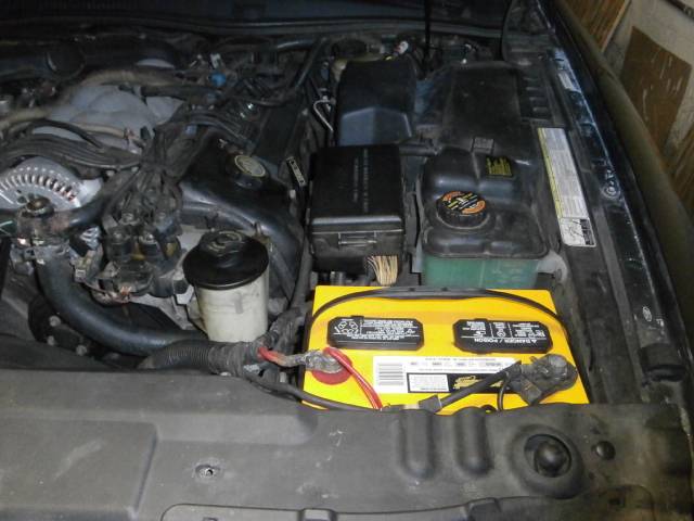 P3060201_zps40fa0ed4.jpg