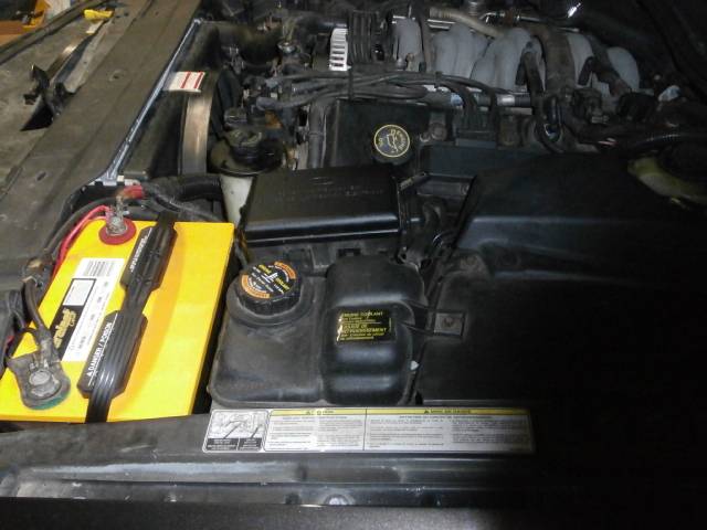 P3060202_zps3ad58dca.jpg