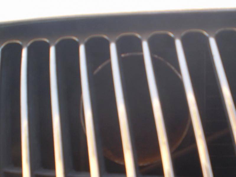 P4070880 (800x600).jpg