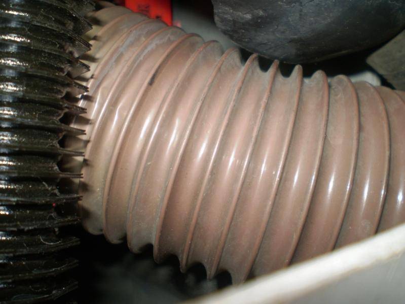 P4070881 (800x600).jpg