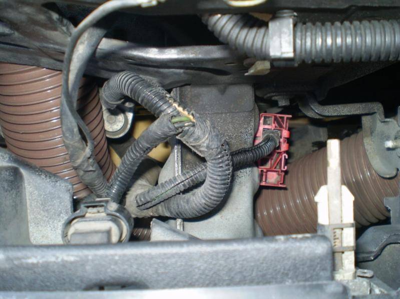 P4070882 (800x600).jpg