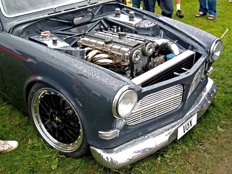 p8203857hd1.jpg