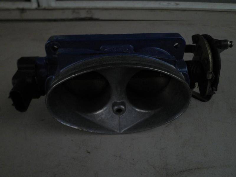 P9140045.jpg