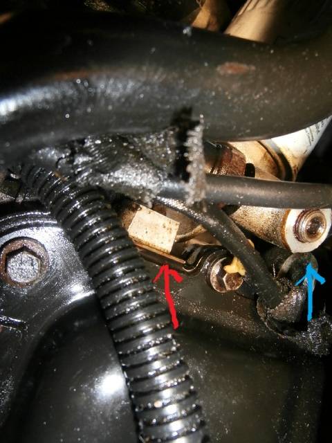PC110037.jpg
