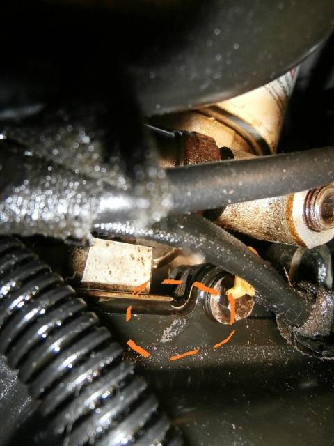 PC110038.jpg