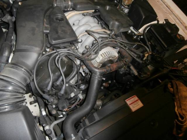 PC110040.jpg