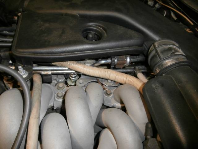 PC110043.jpg