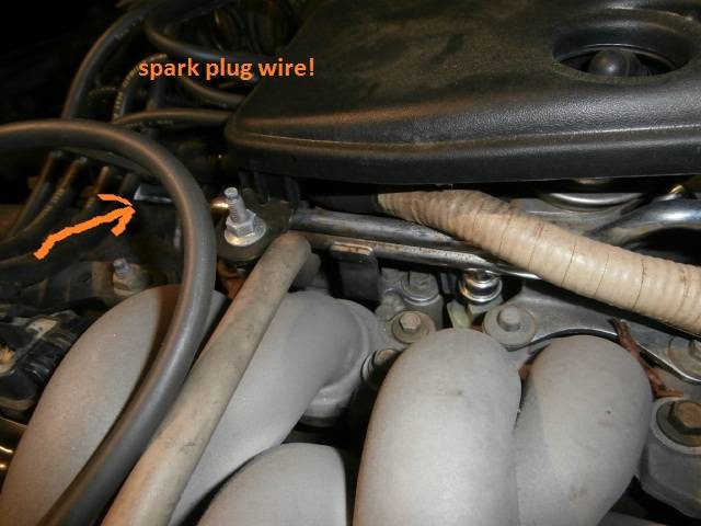 PC110044.jpg