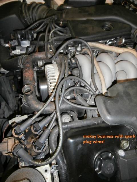 PC110045.jpg