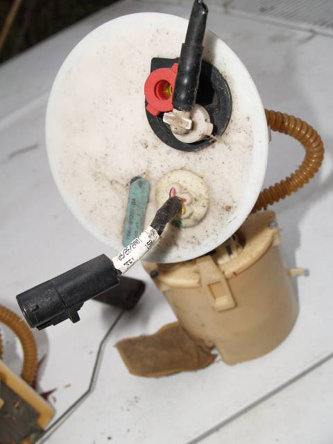 PC215772.JPG