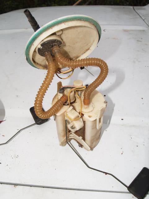 PC215774.JPG