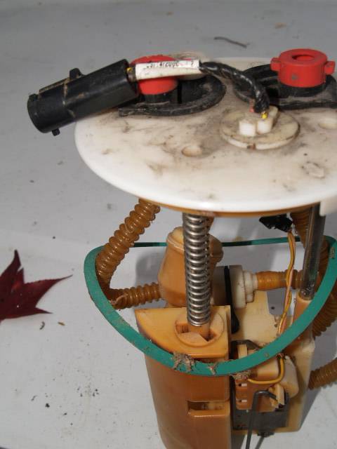 PC215779.JPG