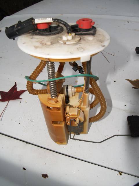PC215780.JPG