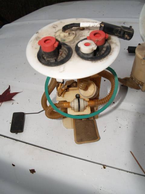 PC215781.JPG