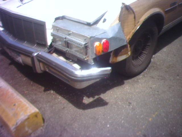 Photo 99.jpg