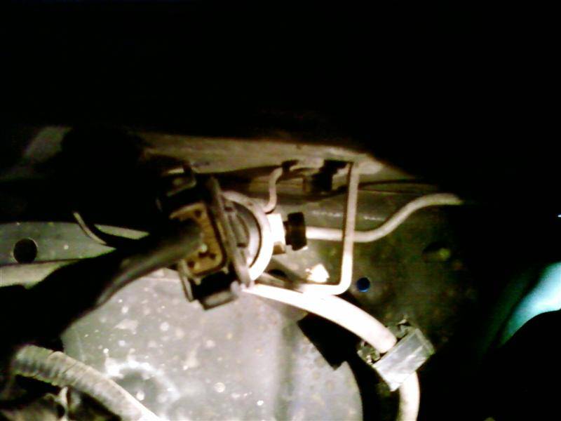 Photo0642 (Medium).jpg