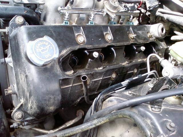 Photo0939 (Small).jpg