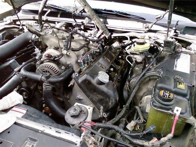 Photo0940 (Small).jpg