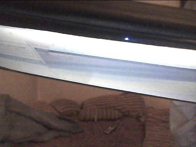 Photo_00015.jpg