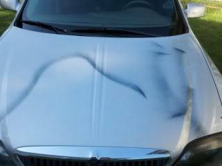 photobucket-4545-1313073674434.jpg