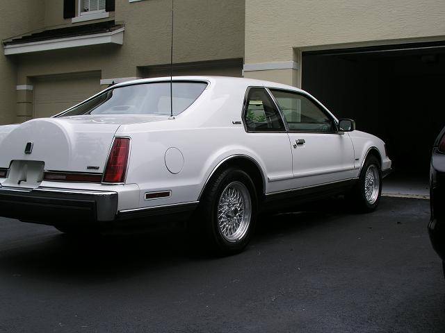 pic1.JPG