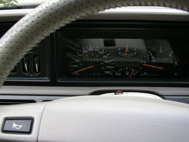pic3.JPG