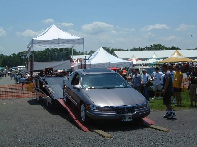 pic4.jpg