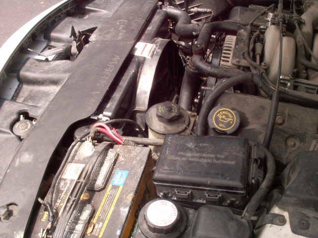 PICT0028.JPG