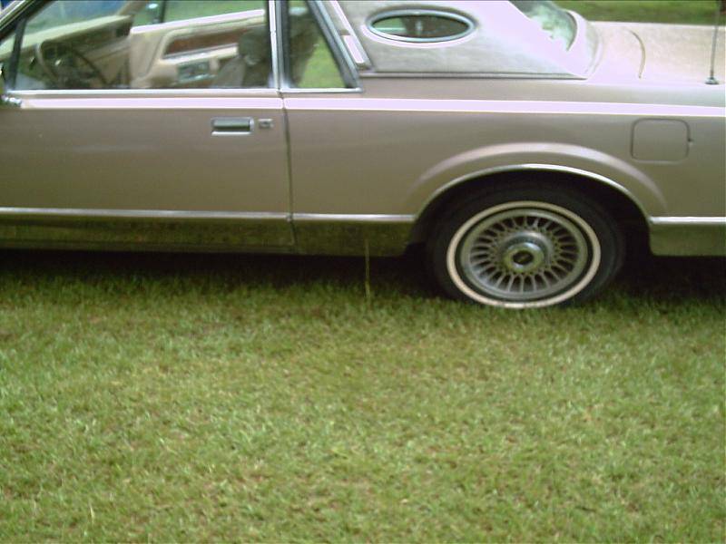 PICT0028.jpg