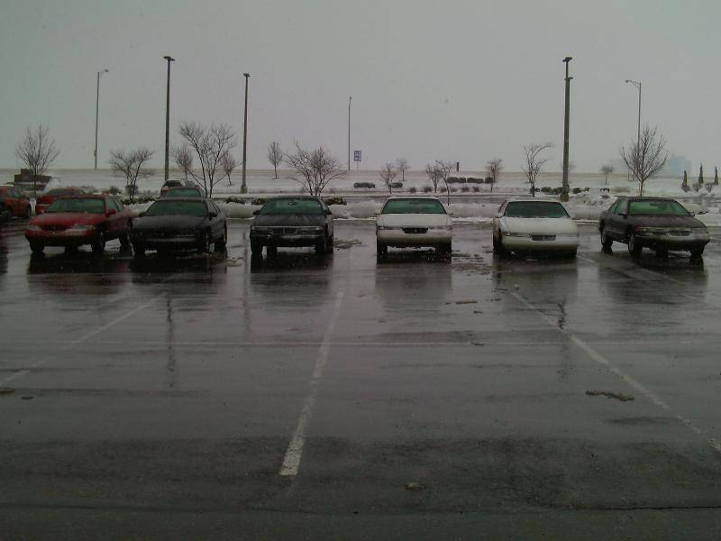 PICT0142.jpg