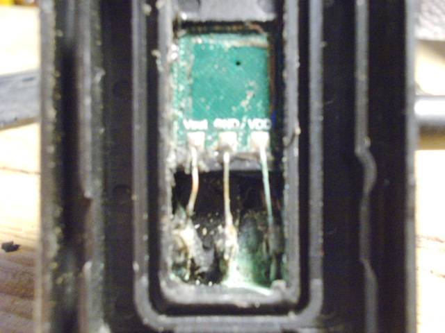 PICT1752.JPG