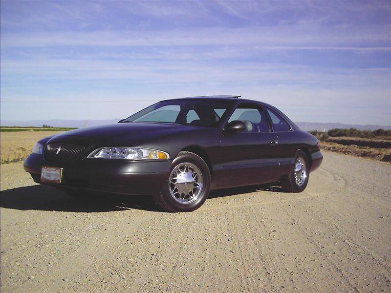 Picture 003copy (Medium).jpg
