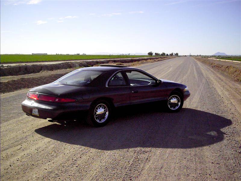 Picture 005copy (Medium).jpg