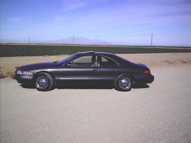 Picture 007copy (Medium).jpg