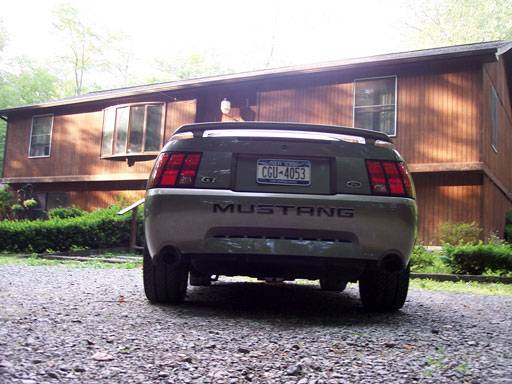 Picture-019.jpg