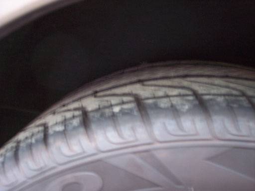 Picture-025.jpg