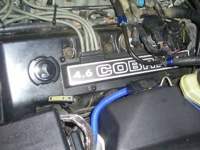Picture 112.jpg
