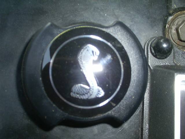 Picture 124.jpg