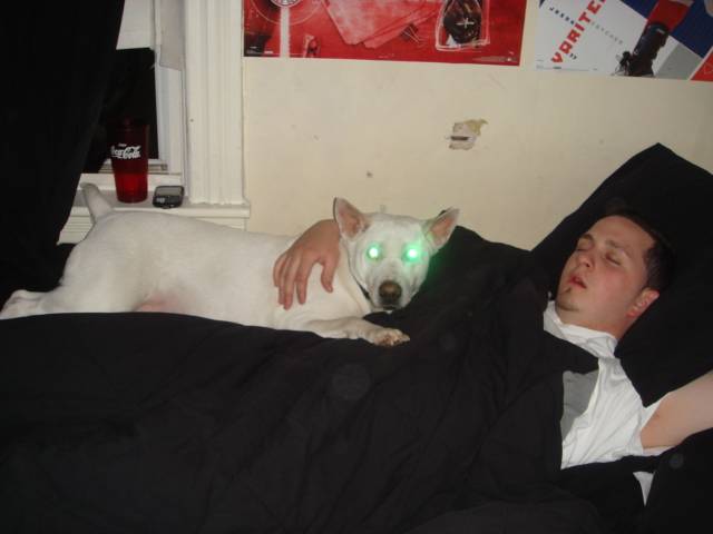 Picture 130.jpg