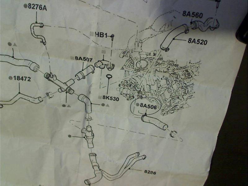 Picture 2.jpg