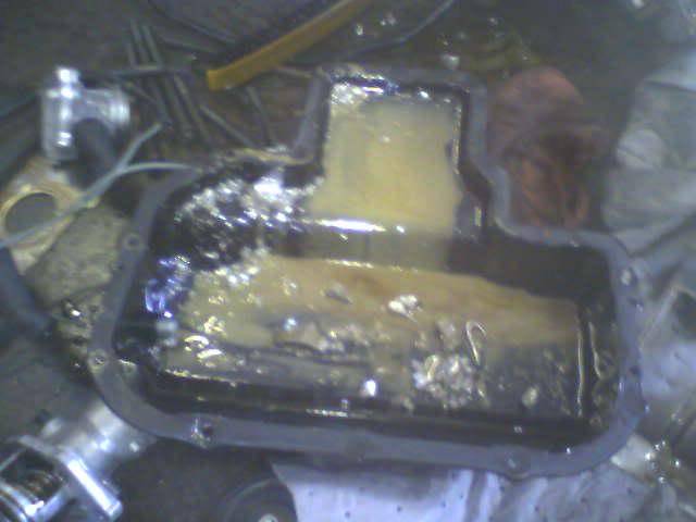 Picture004.jpg