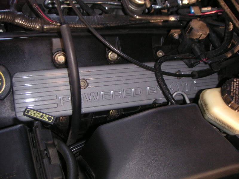 Picture007.jpg
