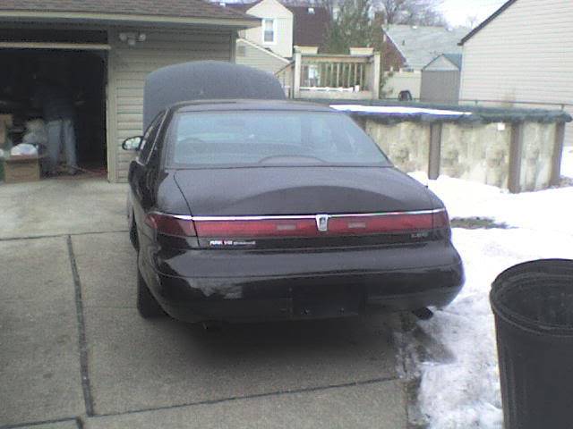 Picture018.jpg
