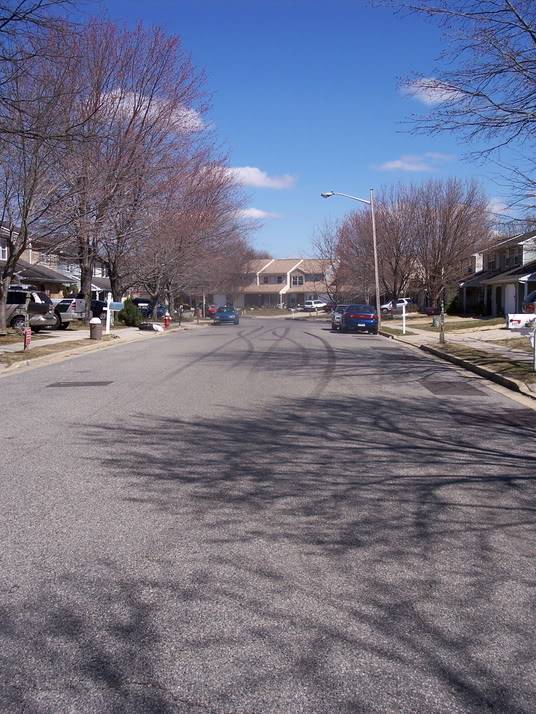 pictures015.jpg