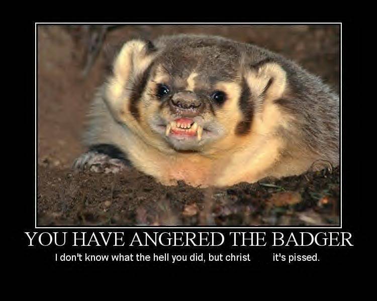 pissedbadger.jpg